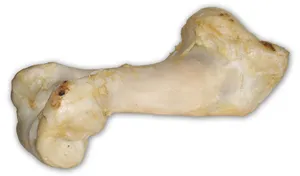 Hovädzia kosť biela - extrudovaná 1 ks/36 cm
